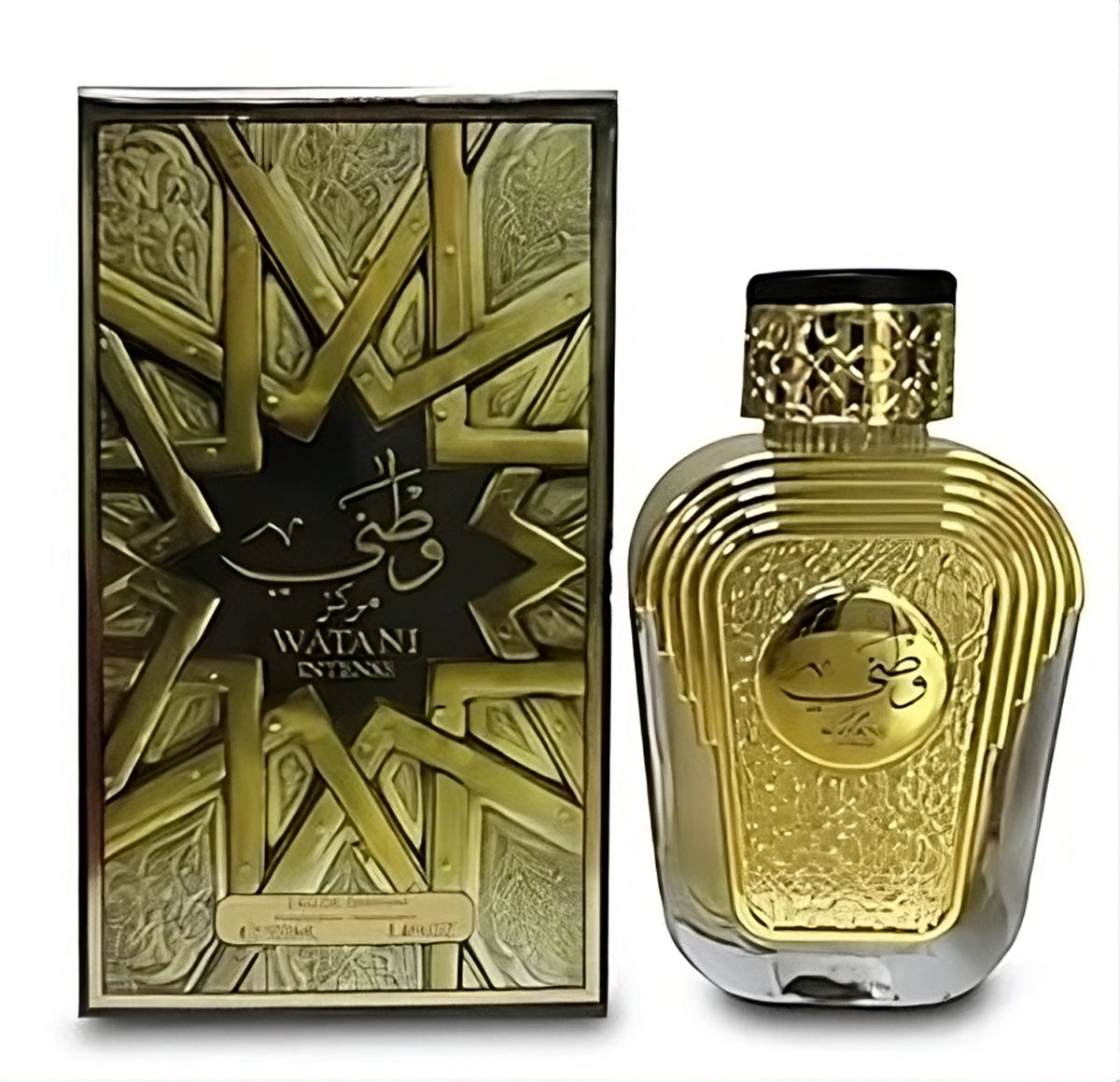 Watani Intense by Al Wataniah – Eau de Parfum for Men (100ml)